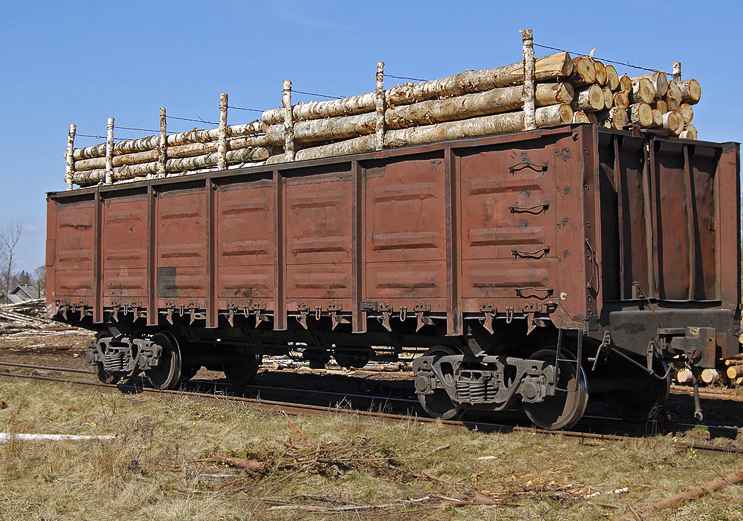 Перевозка ЛЕСА вагонами из Гагаина в г. Нелидов