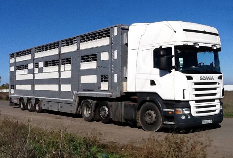 Заказать скотовоз для крупного рогатого скота из Воронежа в Москву